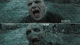 13.png